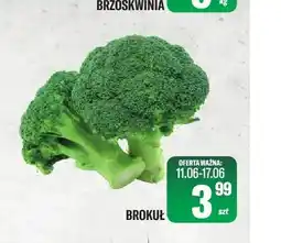 TomiMarkt Brokuł oferta