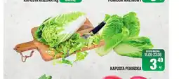 TomiMarkt Kapusta pekińska oferta