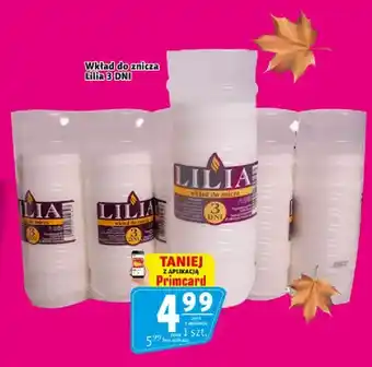 Wkład do znicza Lilia 3 dni