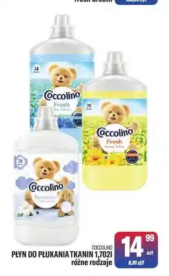 TomiMarkt Płyn do płukania tkanin Coccolino oferta