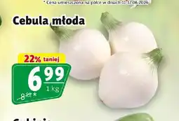 Prim Market Cebula młoda oferta