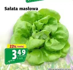 Prim Market Sałata masłowa oferta