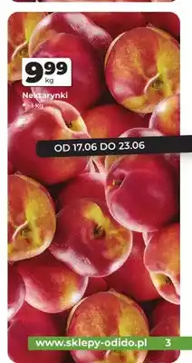 Odido Nektarynki oferta