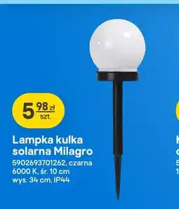 Castorama Lampka kulka solarna Milagro czarna oferta