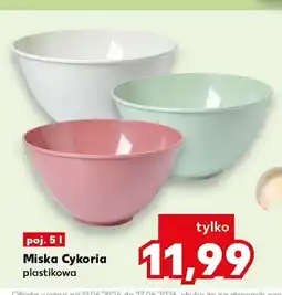 Kaufland Miska plastikowa Cykoria oferta