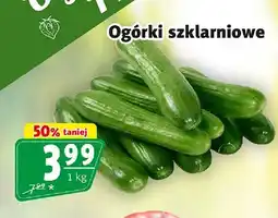 Prim Market Ogórki szklarniowe oferta