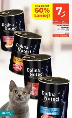 Dealz Karma mokra dla kota Dolina Noteci Premium bogata w łososia oferta