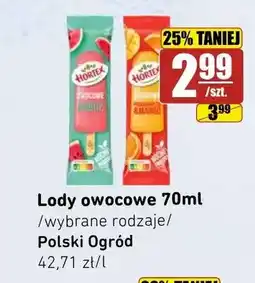 API MARKET Lody owocowe arbuz Hortex Polski Ogród oferta