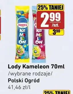 API MARKET Lody Kameleon Hortex Polski Ogród oferta