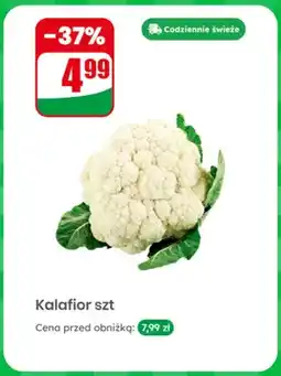 Dino Kalafior oferta
