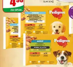 Dino Mokra karma dla psa Pedigree Adult oferta