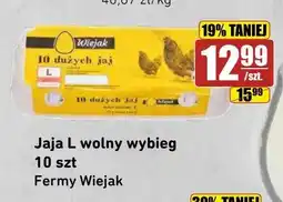 API MARKET Jaja L wolny wybieg Fermy Wiejak 10-pak oferta