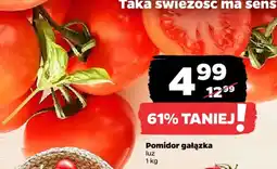 Netto Pomidor gałązka oferta