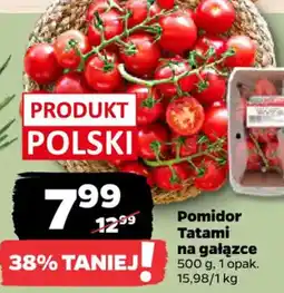 Netto Pomidor Tatami na gałązce oferta