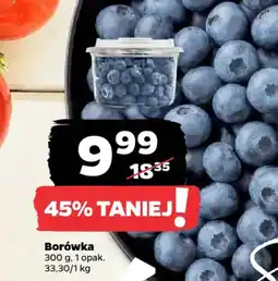 Netto Borówka oferta