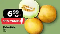 Netto Melon Galia oferta