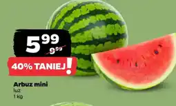 Netto Arbuz mini oferta