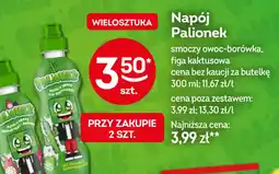 Żabka Palionek Napój oferta