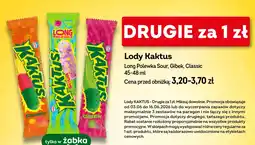 Żabka Kaktus Lody oferta
