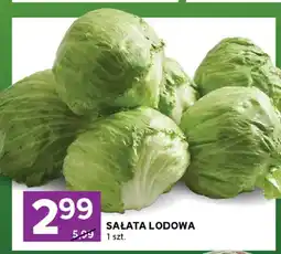Stokrotka Sałata lodowa oferta