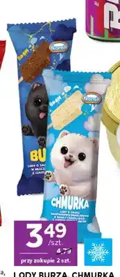 Stokrotka Lody Koral Chmurka oferta