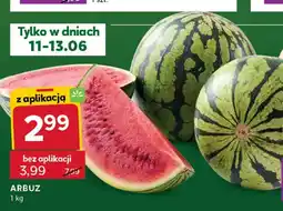 Stokrotka Arbuz oferta