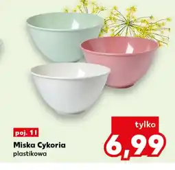 Kaufland Miska Cykoria oferta