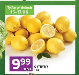 Stokrotka Cytryny oferta