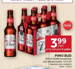 Stokrotka Piwo Bud oferta