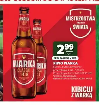 Stokrotka Piwo Warka Classic oferta