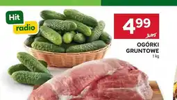 Stokrotka Ogórki gruntowe oferta