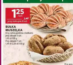 Stokrotka Bułka muszelka oferta