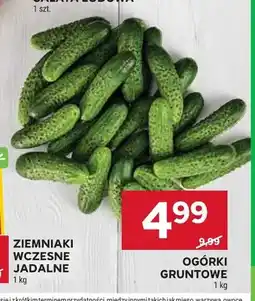 Stokrotka Ogórki gruntowe oferta