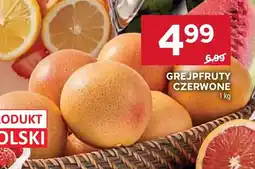Stokrotka Grejpfruty czerwone oferta