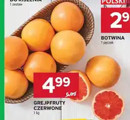 Stokrotka Grejpfruty czerwone oferta
