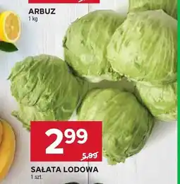 Stokrotka Sałata lodowa oferta