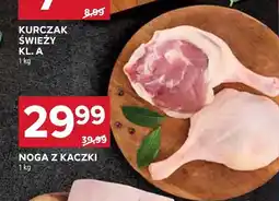 Stokrotka Noga z kaczki oferta
