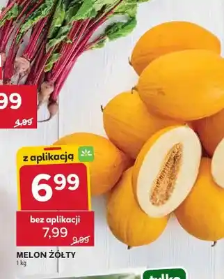 Stokrotka Melon żółty oferta