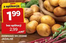 Stokrotka Ziemniaki wczesne jadalne oferta