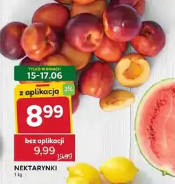 Stokrotka Nektarynki oferta
