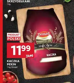 Stokrotka Kaczka Pekin Drosed polska oferta