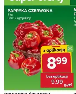 Stokrotka Papryka czerwona oferta