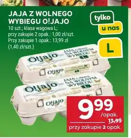 Stokrotka Jaja z wolnego wybiegu O!Jajo oferta