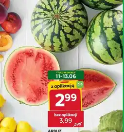 Stokrotka Arbuz oferta