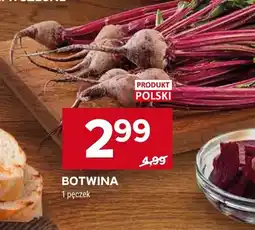 Stokrotka Botwina oferta