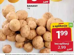 Stokrotka Ziemniaki wczesne jadalne oferta