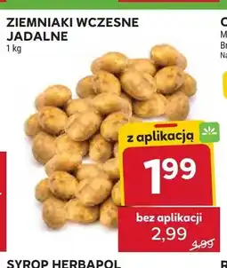 Stokrotka Ziemniaki wczesne jadalne oferta