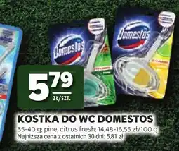 Stokrotka Kostka do WC Domestos Pine oferta