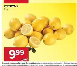 Stokrotka Cytryny oferta