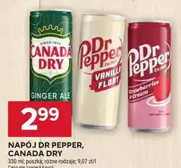 Stokrotka Napój Canada Dry Ginger Ale oferta